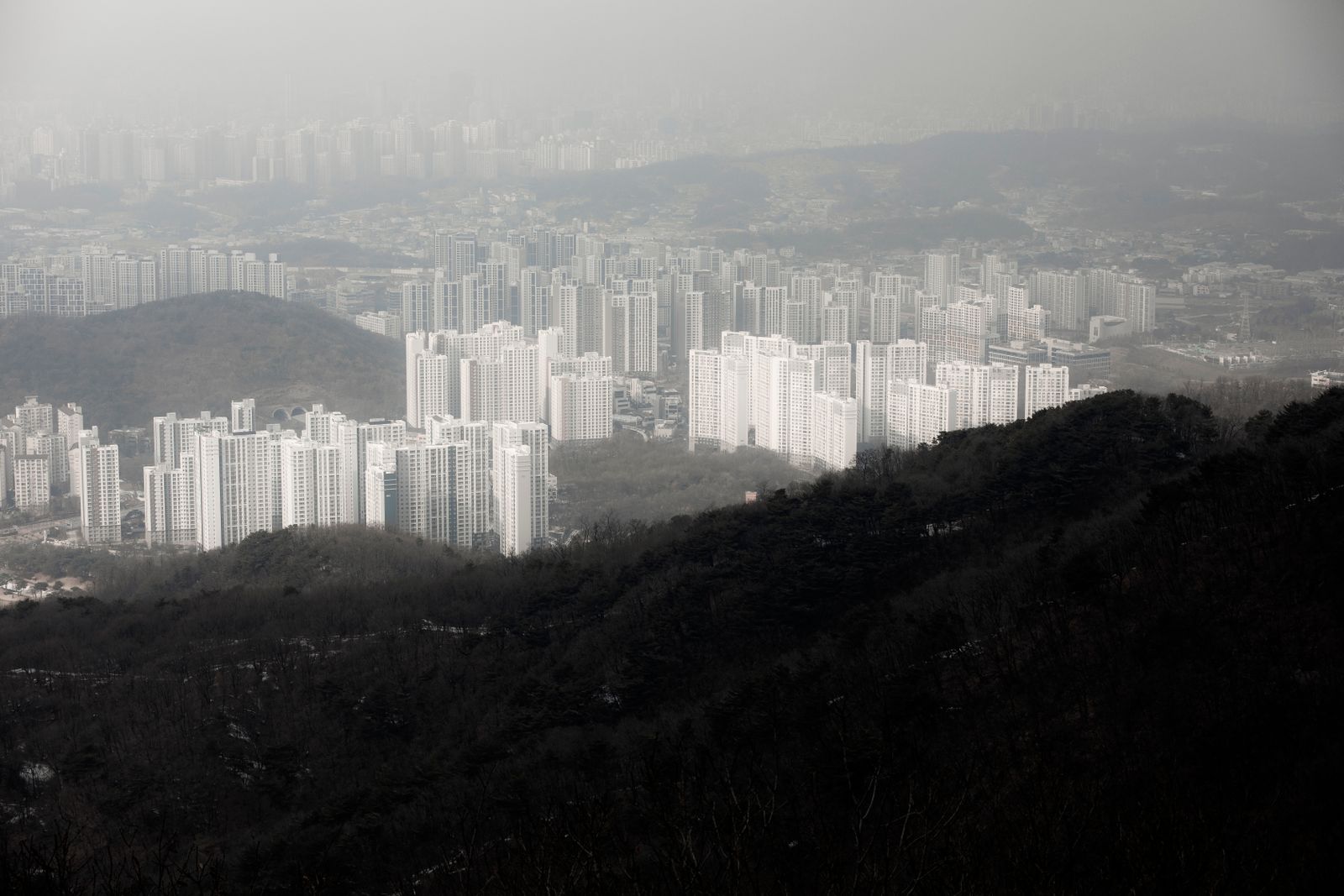 강남 공식홈페이지 안내 이미지 2